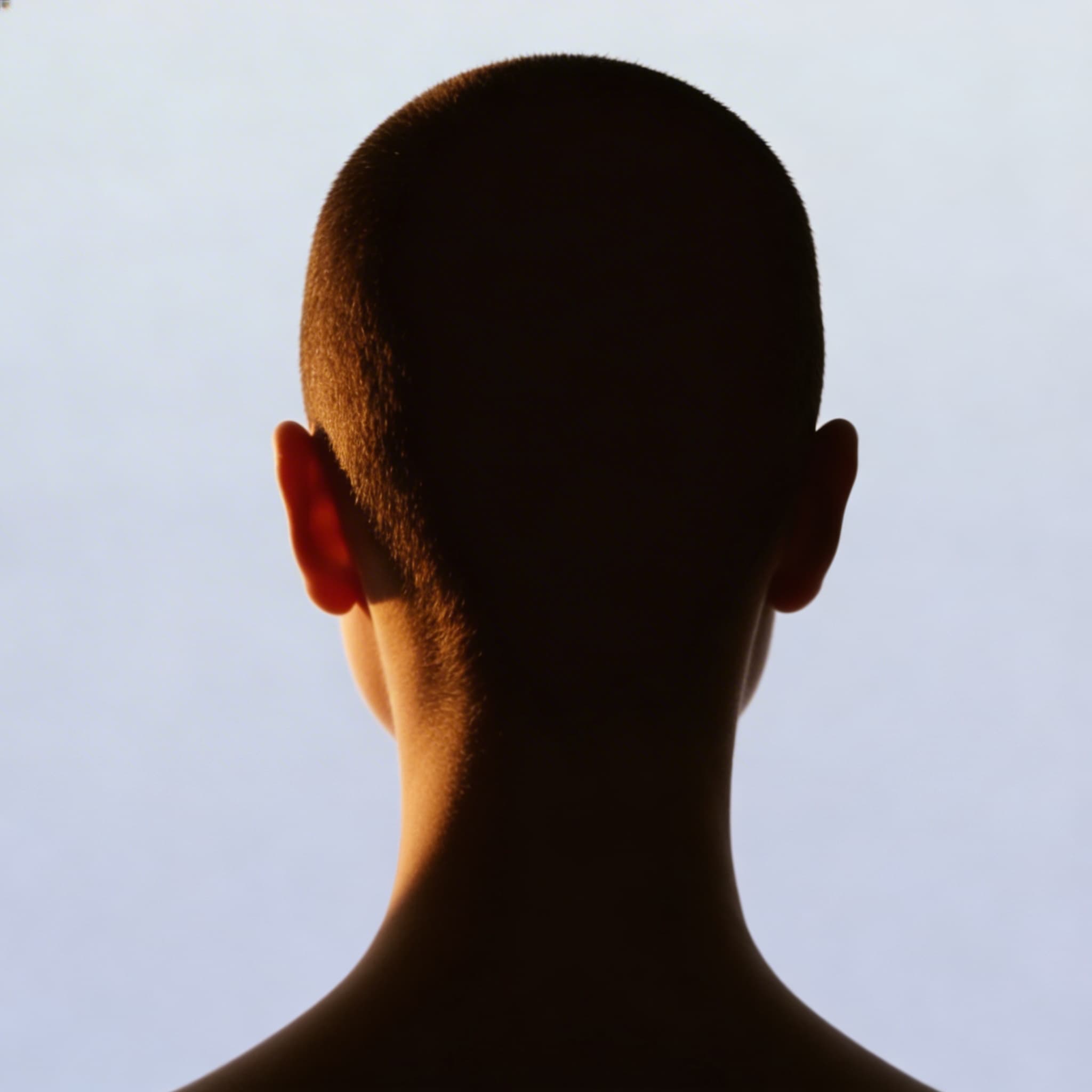 90 day transformation protocol